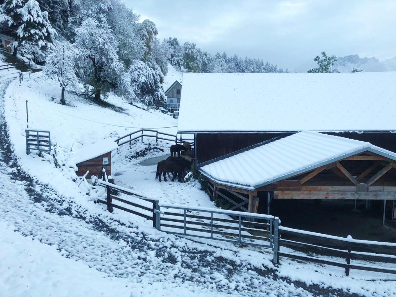 Hotel Garni Brigitte Bürserberg Exterior foto